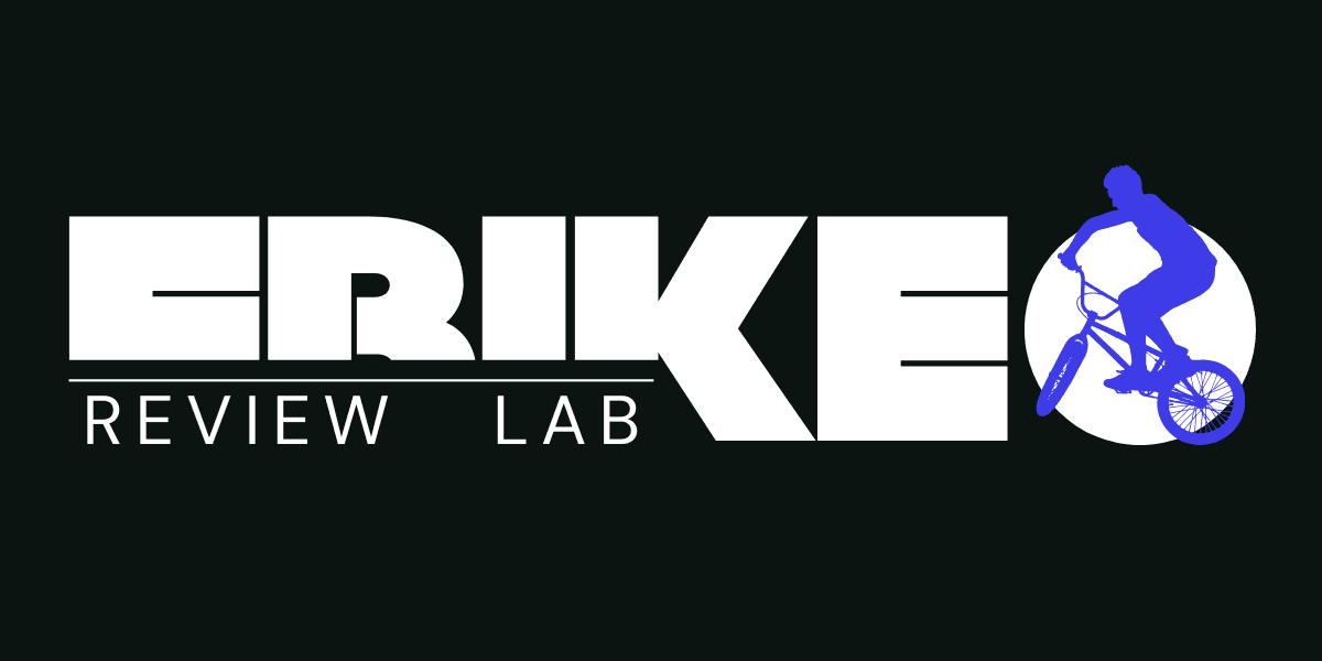 Rider preparing an electric bike for the next trip