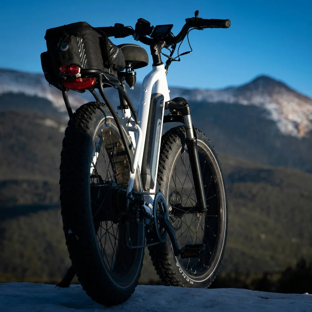 Electric Mountain Bikes