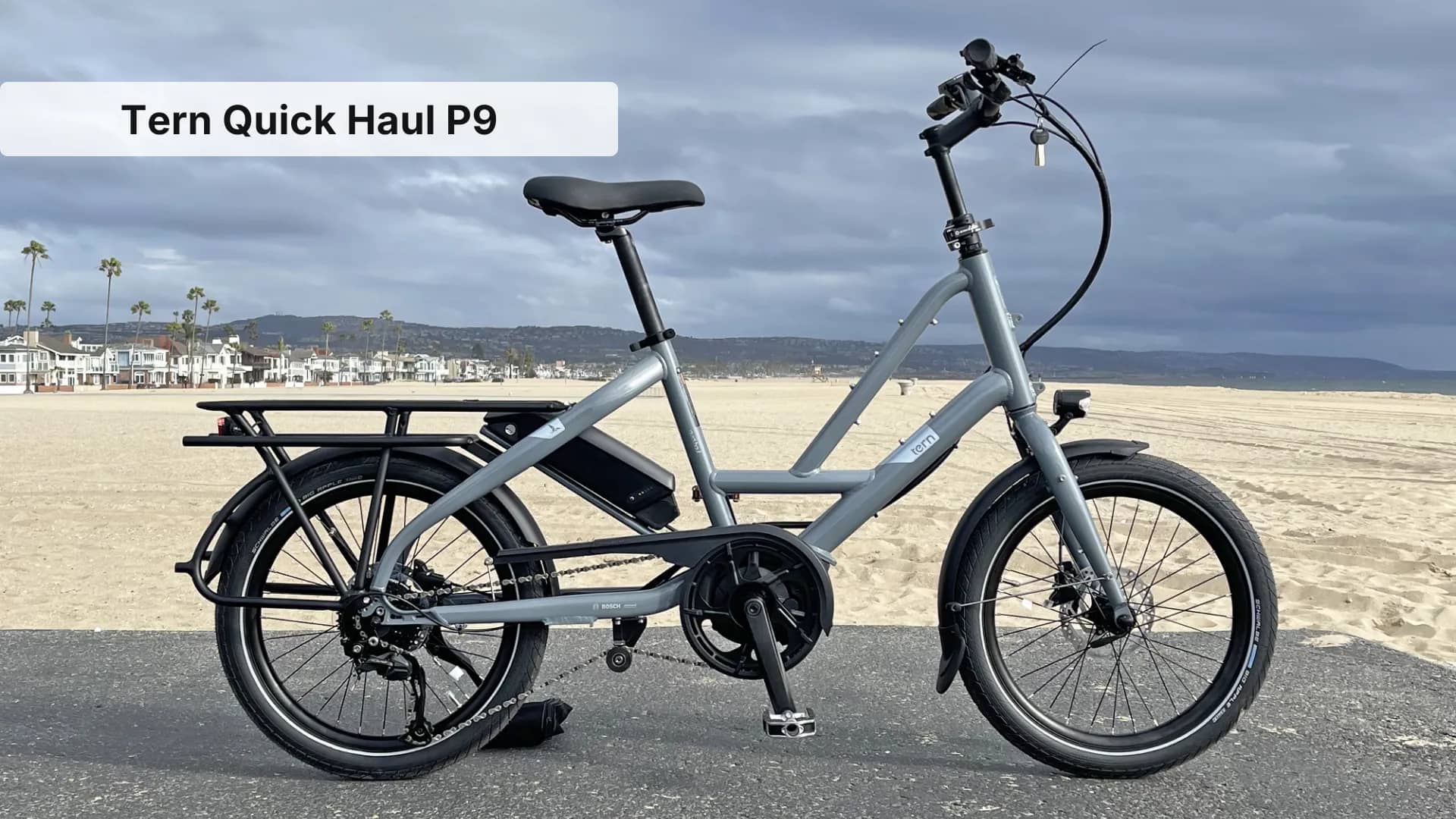 Tern Quick Haul P9 Review: Compact Cargo E-Bike Tested