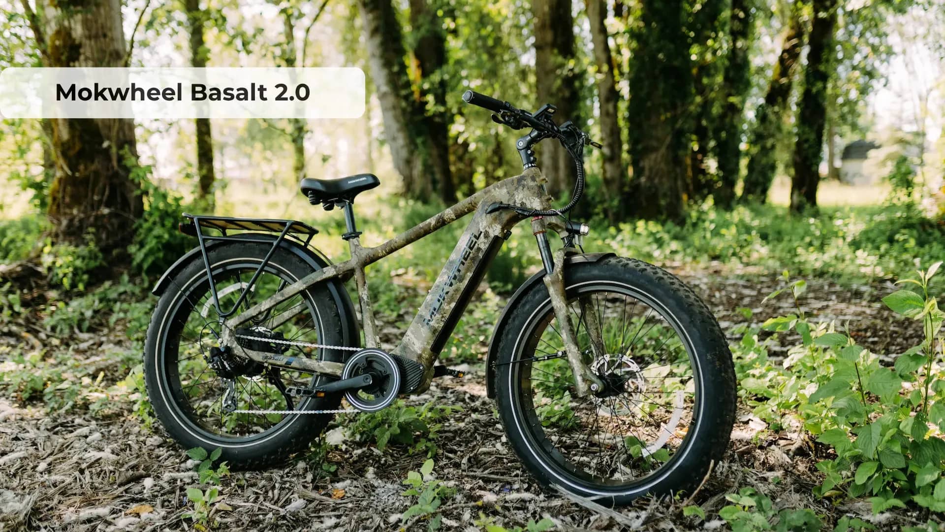 Mokwheel Basalt 2.0 Review: Best Electric Fat Bike Under $2K?