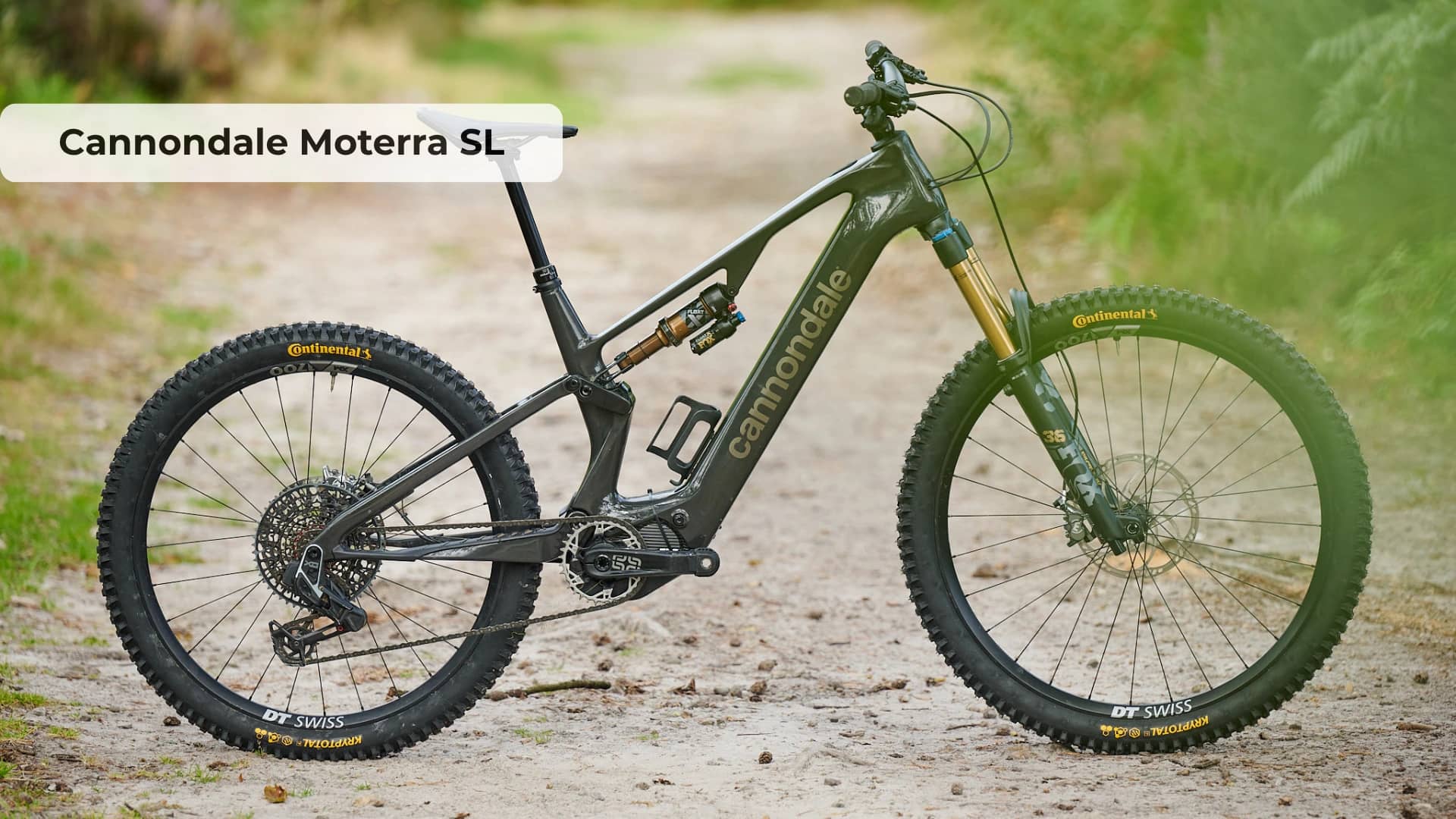 Cannondale Moterra SL Review: Full Power, Half the Weight