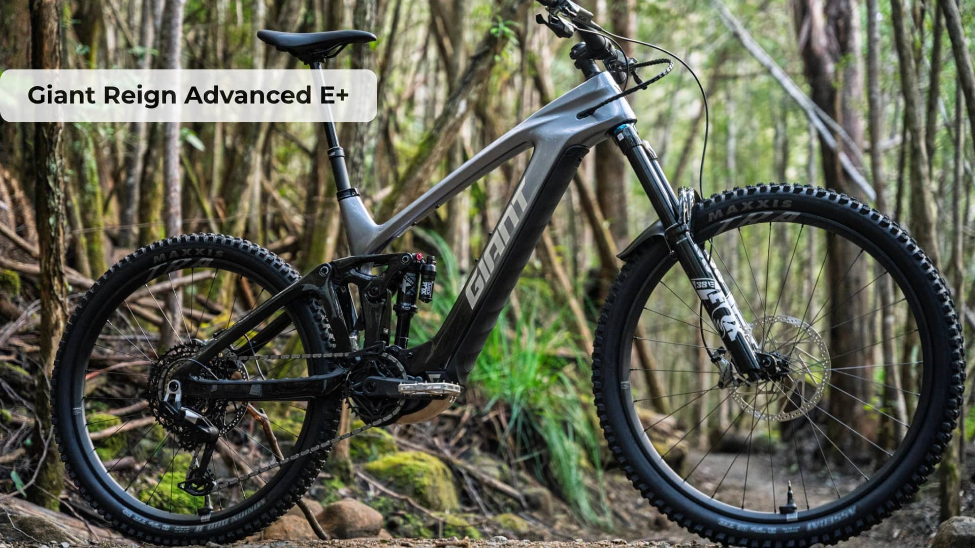 Giant Reign Advanced E+ Full Review: Premium Electric Mountain Bike Tested