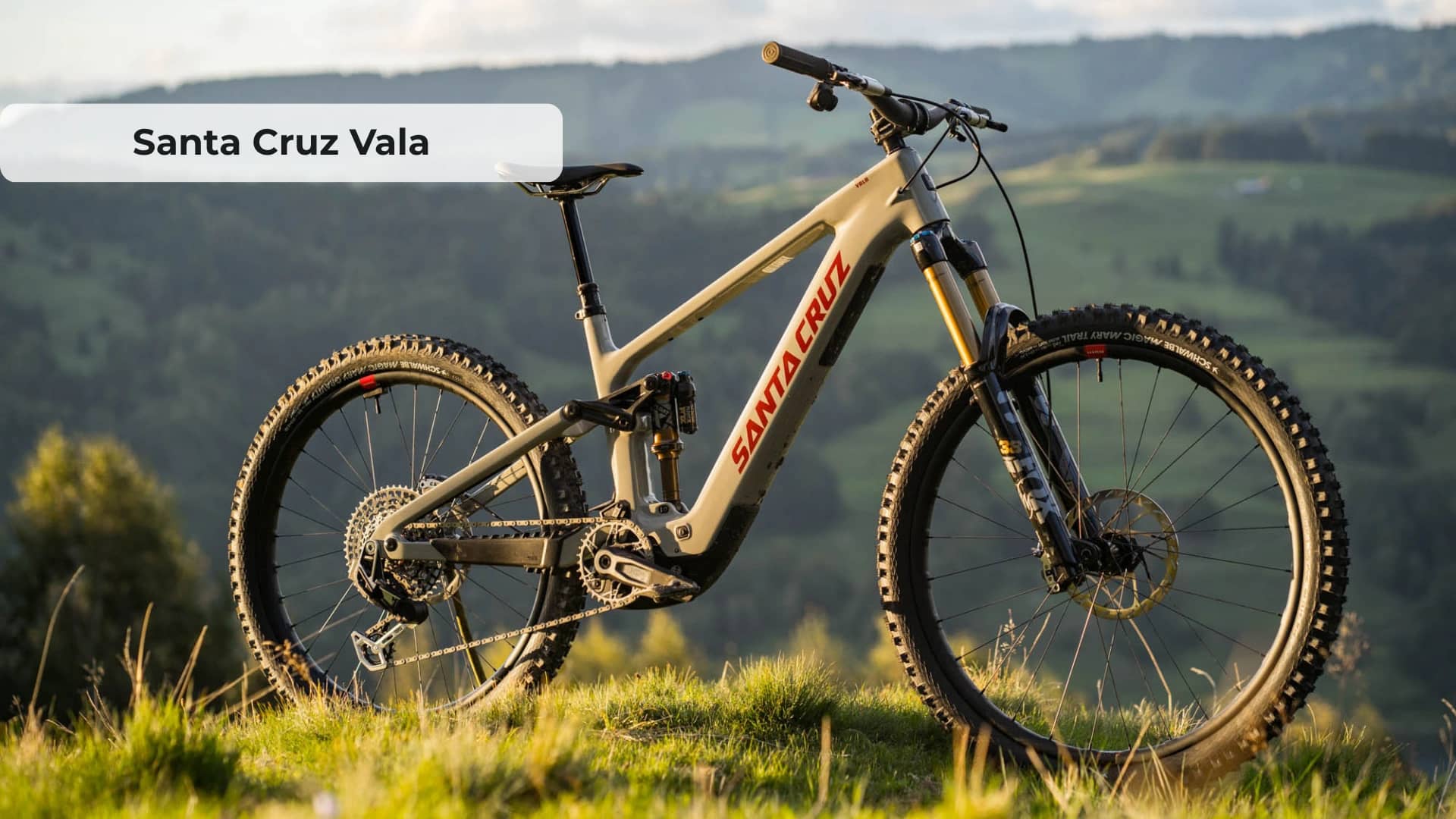 Santa Cruz Vala Review: Full-Power Trail Performance Tested