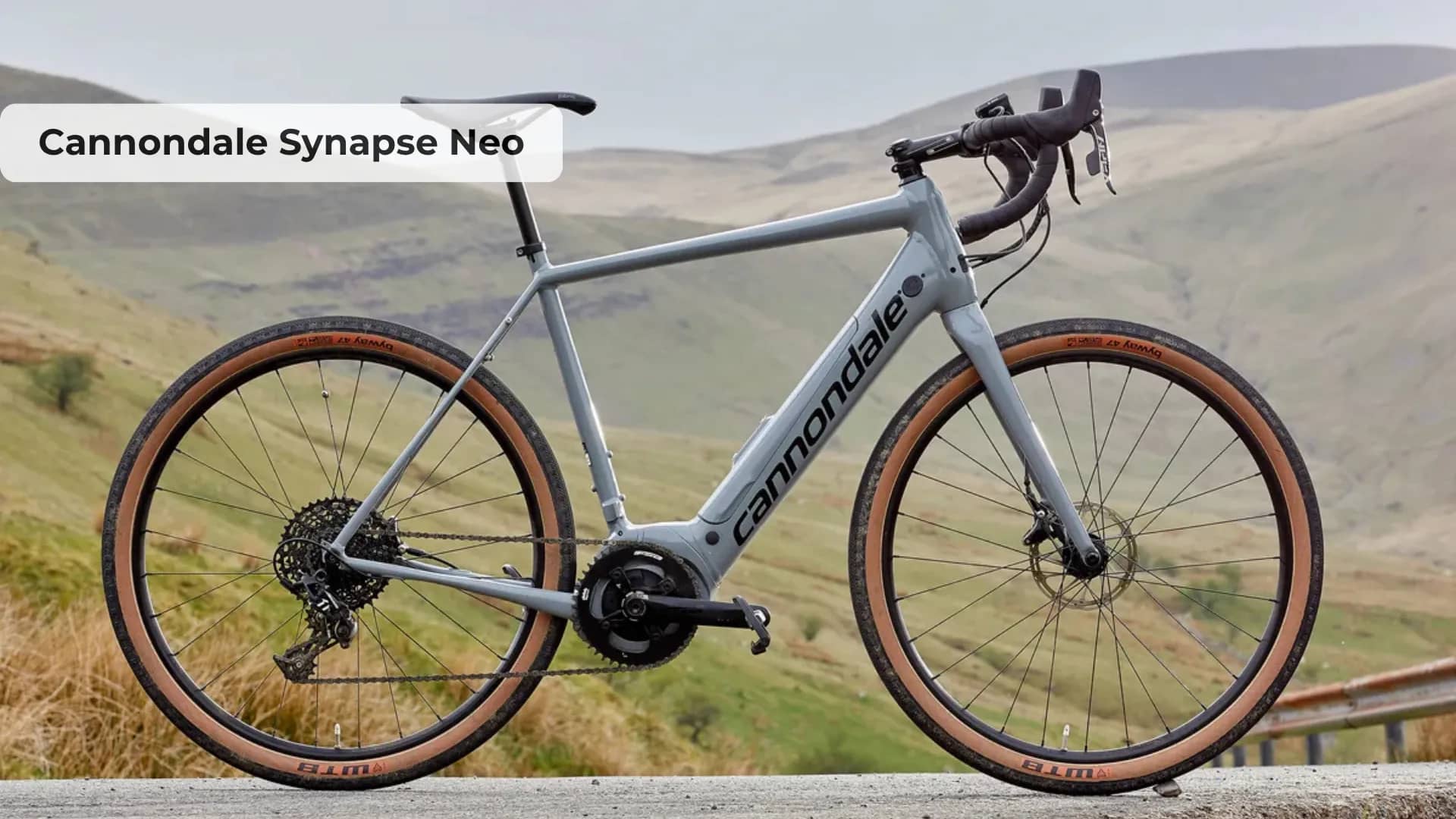 Cannondale Synapse Neo – Best for Daily Use